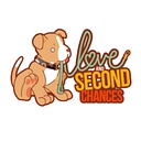 Love & Second Chances logo