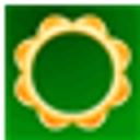 Palmetto Cars of Columbia logo
