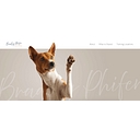 Bradley Phifer Dog Training logo
