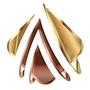 Anderson Agility logo