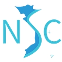NSC Software logo