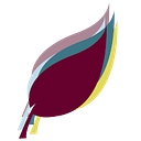 Boise Care Connections logo