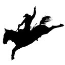 Cowboys Concrete Raising logo