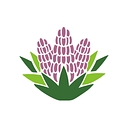 Yucca logo
