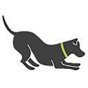 Paws & Play Dog Resort & Training Center logo