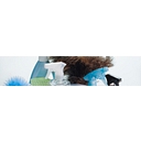 Everclean Company logo