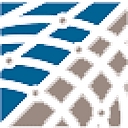 Netropole logo