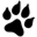 Jay Wolfe Auto Outlet logo