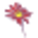 Early Childhood Consultation Partnership logo