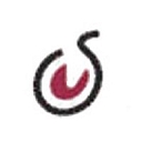 SES Casters logo