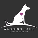 Wagging Tails Dog Rescue NY logo