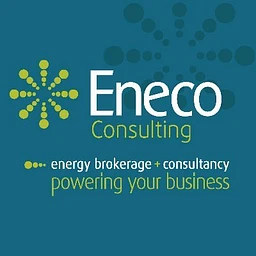 enecoconsulting.com favicon