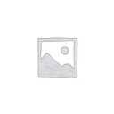 Ranger Pro logo