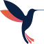 Colibri Systems logo