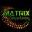 Matrix Window Tinting & Restyling logo