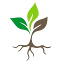 Heavenly Seed logo