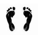 OC Midwifery logo