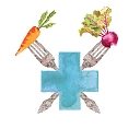 The Fork Clinic logo