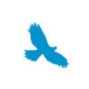 Life Moves Through logo