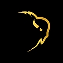 BISON Restoration Services logo