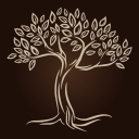 Teak Plus logo