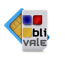Blivale logo