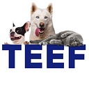 TEEF! logo