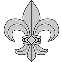 Paramount Healthcare Consultants logo
