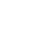 Desert Precision Landscaping logo