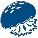 Jellyfish Brands logo