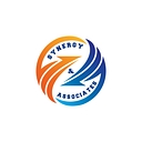 Synergy & Associates logo