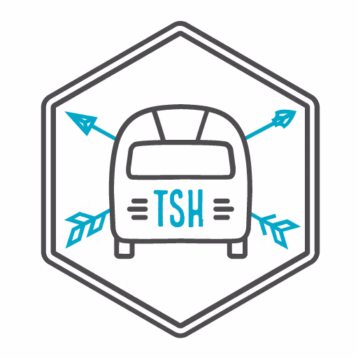 tinyshinyhome.com favicon