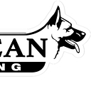 All-American K-9 logo
