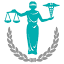 LawNurse logo
