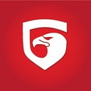 Lovell Government Services logo