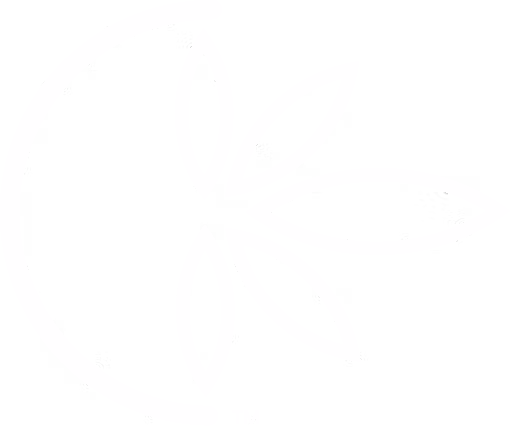 MXXN logo