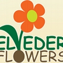 Belvedere Flowers logo