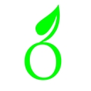 Organa International logo