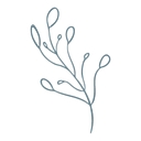 Wild Fig Functional Medicine logo