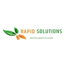 Rapid Solutions International logo