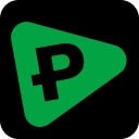 Paycile logo