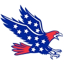 American Falcon Moving logo
