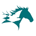 Friendship Veterinary Imaging Center logo