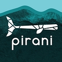 Pirani & Nunnelee DDS logo