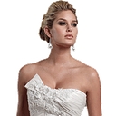 Bridal Gown Preservation logo