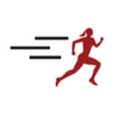 Dash Sports logo