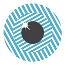 Brien Holden Vision Institute logo