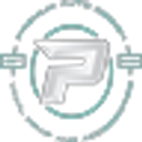 Premium Auto Design logo