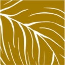 Homeika Trucozie T550 logo