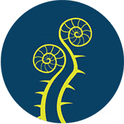 Magical Gold Forsythia logo